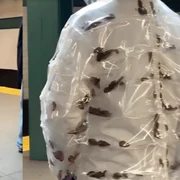 Screenshot 2026 04 11 112238 jpg