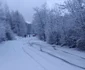 Accident cu microbuzul Foto ISU Hunedoara (1) jpg