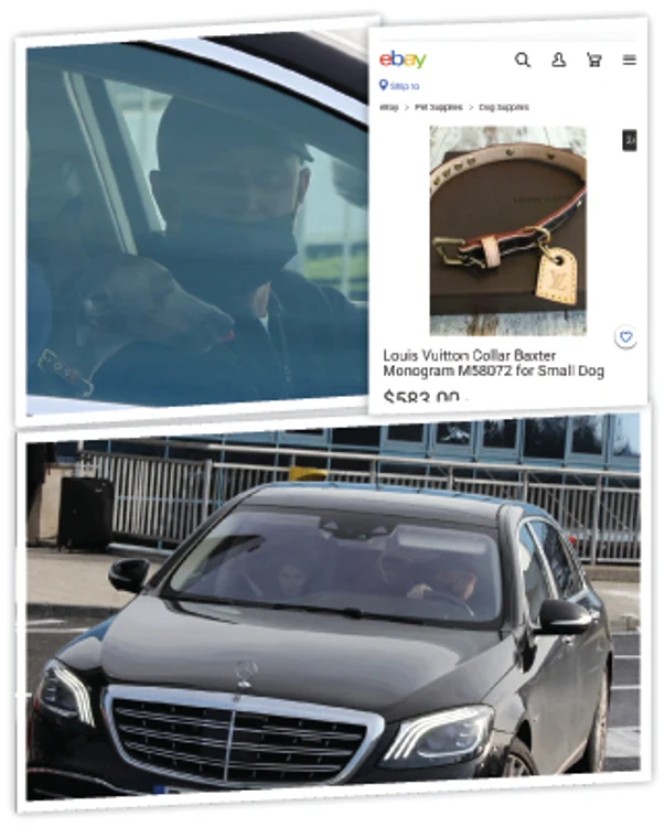 Ogarul italian pitic are zgardă de 600 de euro. Au plecat cu un Maybach de 200.000 de euro