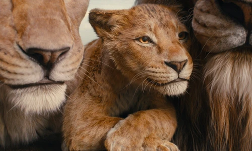 Mufasa jpeg