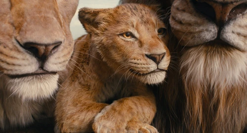 Mufasa: Regele Leu