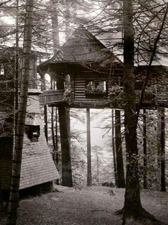 318x425 1 0 jpg jpeg