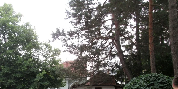 valcea