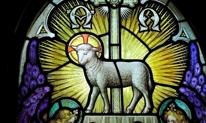 Mielul pascal, veşnicul animal de sacrificiu jpeg