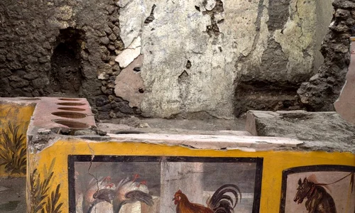 historia ro undefined jpeg