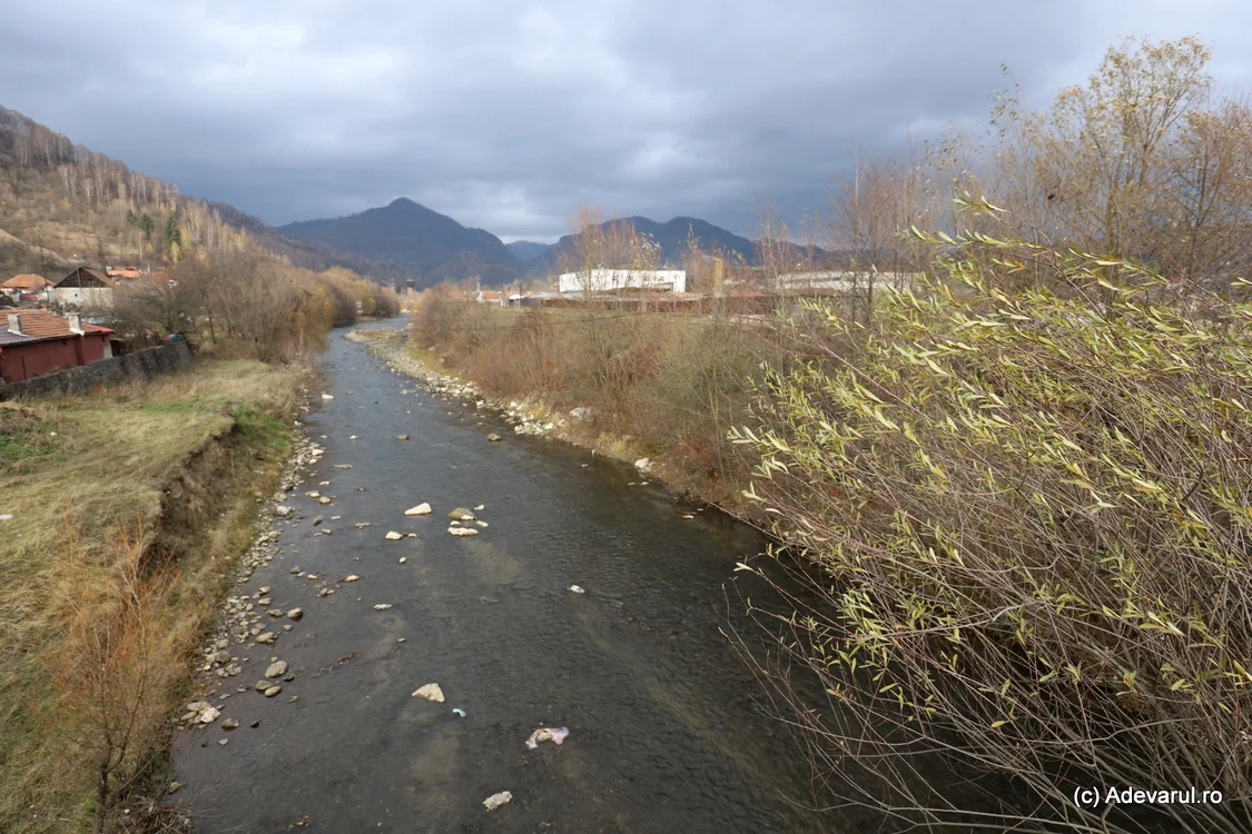 Râul Jiu, zona Dâlja, Petroșani. Foto: Daniel Guță