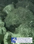 Epava unei nave din secolul al V-lea î.Hr., descoperită în apele Mării Ionice (© Soprintendenza ABAP per la città di Reggio Calabria e Vibo Valentia)