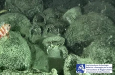 Epava unei nave din secolul al V-lea î.Hr., descoperită în apele Mării Ionice (© Soprintendenza ABAP per la città di Reggio Calabria e Vibo Valentia)