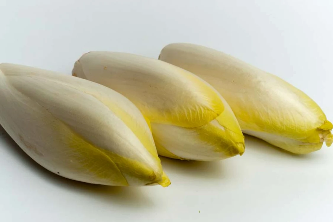 
    Andive  