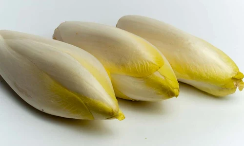 CLIIMA20140117 0149 1 jpeg