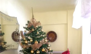 Benone Sinulescu, lângă bradul pe care l a împodobit de Crăciun jpeg