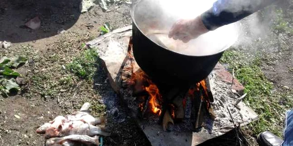 ciorba de peste - proces de fabricatie