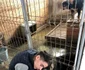 Costi Țitirigă orfanul din Vâlcea poreclit salvatorul animalelor Foto Arhiva personală jpg