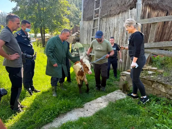 Imagini cumplite în Suceava: animale bolnave și înfometate. FOTO: Monitorul de Suceava