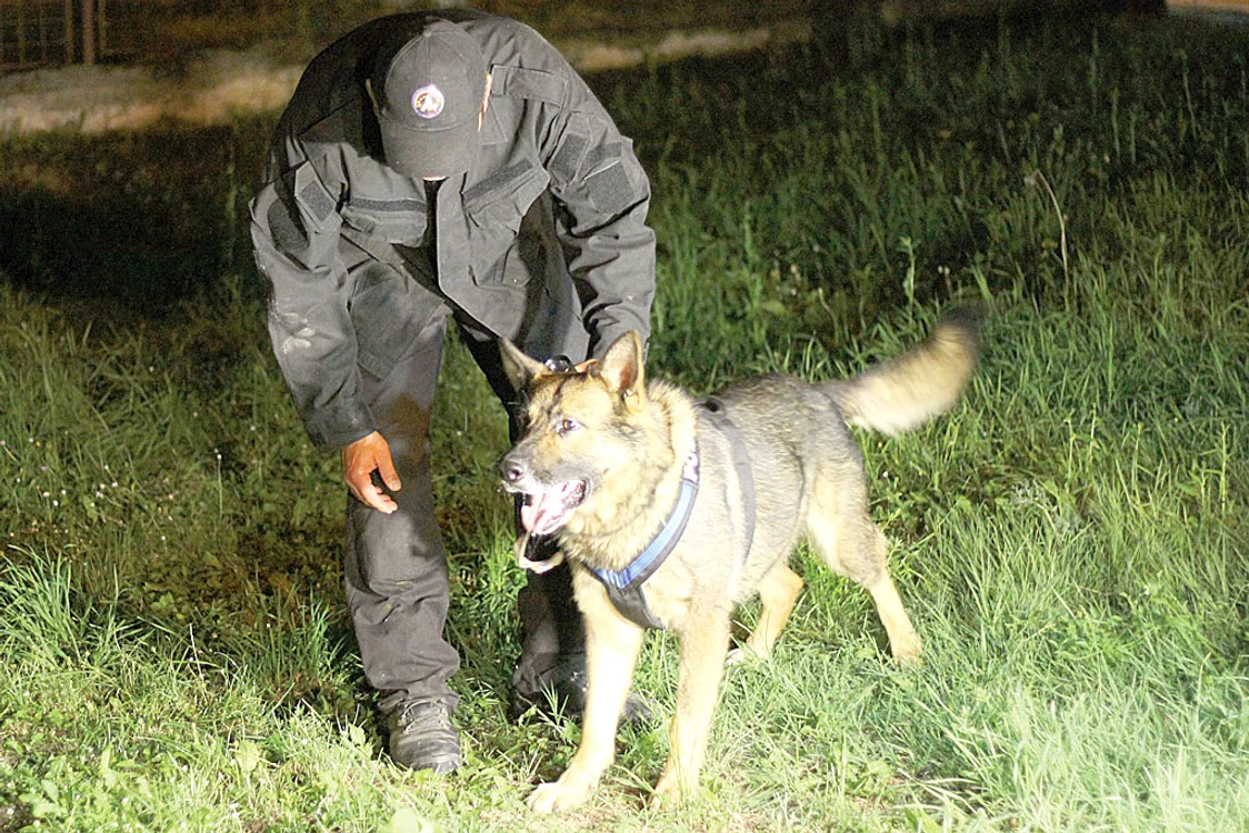 Jandarmii au folosit,  în timpul căutărilor,  câini special dresaţi 