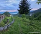 Satul Săcărâmb din Hunedoara Foto Daniel Guță ADEVĂRUL (4) jpg