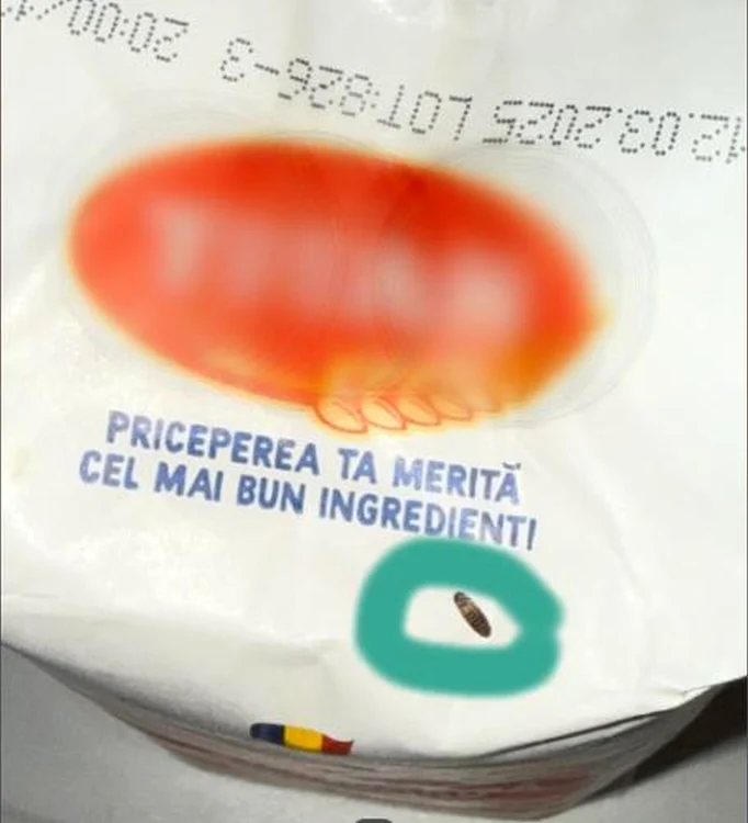 Pungă de făină cu insectă pe ea. Foto: ȘtirideCluj.ro