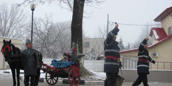 La cei 16 ani ai săi, calul Marcel nu dă încă semne de oboseală