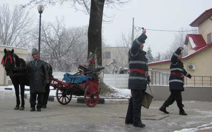 La cei 16 ani ai săi, calul Marcel nu dă încă semne de oboseală