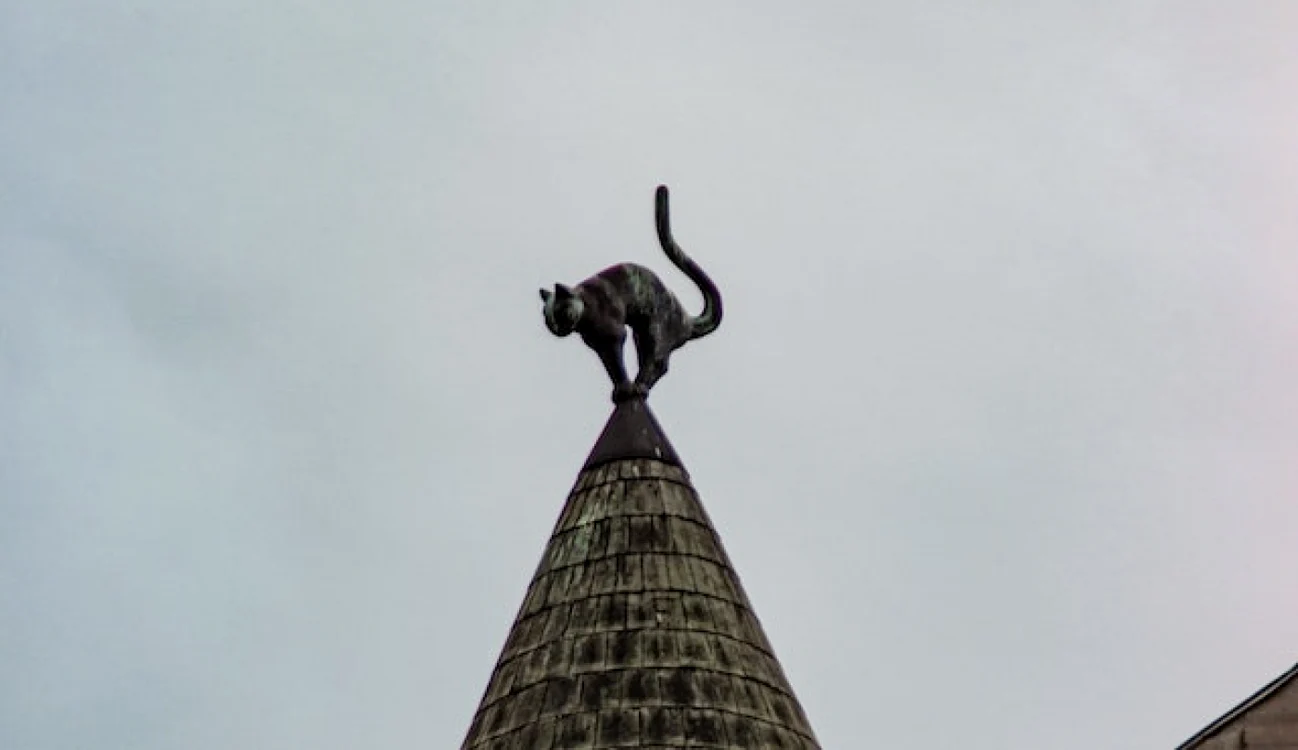 FOTO: pexel.com