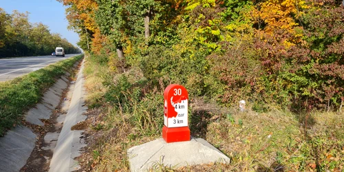 indicatoare rutiere vandalizate jpeg