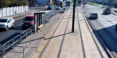 accident Timisoara mp4 thumbnail png