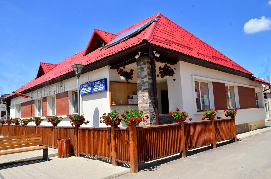 
    Cei nouă Ioan Godja se bat pentru a prinde locuri în”Parlamentul”local al comunei OnceștiFoto: ghidulprimariilor.ro  