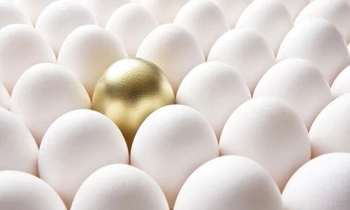 1 shutterstock 203925583 jpg jpeg