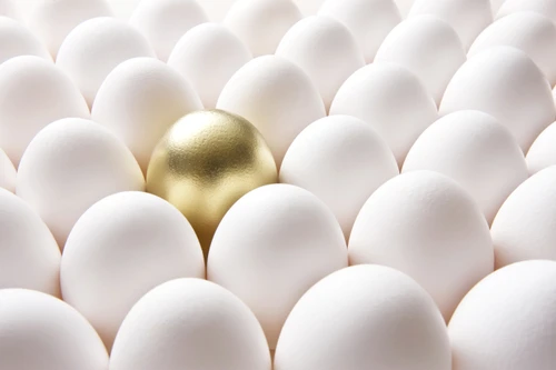 1 shutterstock 203925583 jpg jpeg