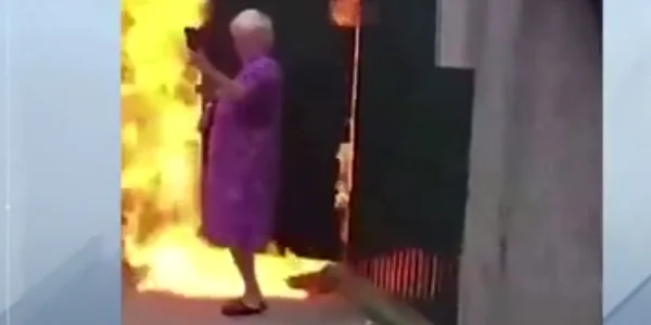 cats crop jpg