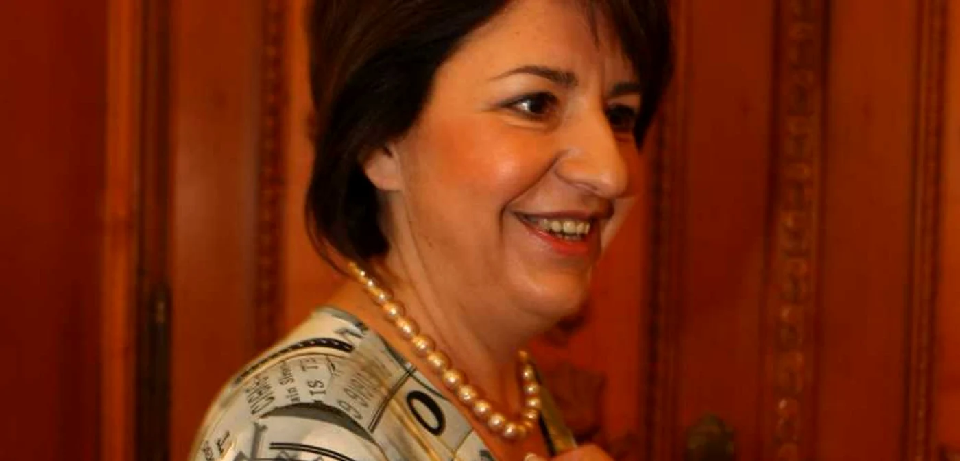 Sulfina Barbu (PDL)