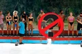 banner survivor png