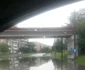 inundatii arad
