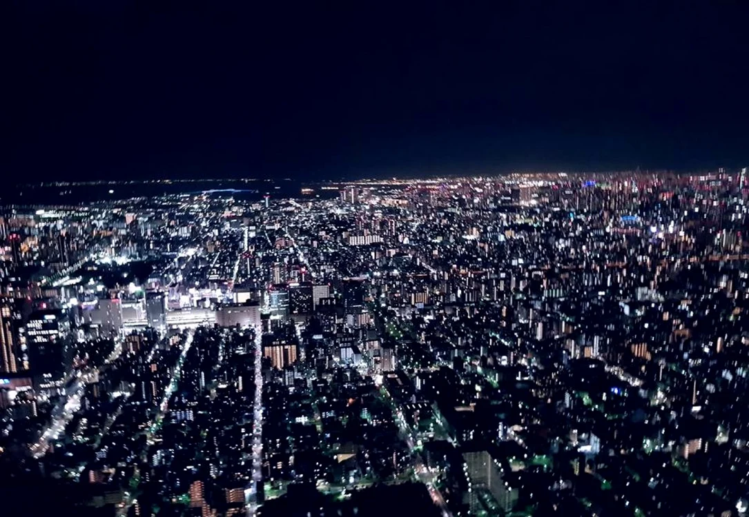 Tokyo - Japonia după 16 - 22 de ore de zbor văzut prin ochii unor români Foto Arhiva personală Alexandra Lopotaru