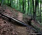 cetatea fetele albe foto daniel guta adevarul