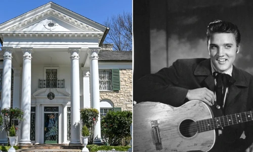 1 pjimage 14 jpg jpeg