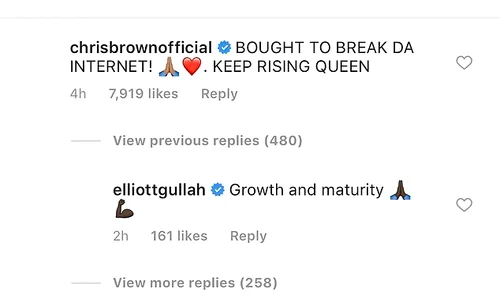 Comentariile scrise de Chris Brown au fost apreciate de peste 7000 de persoane  jpeg