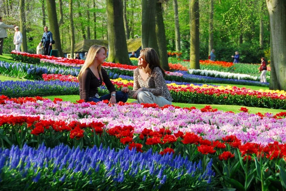 Keukenhof este cea mai mare grădină de flori din lume, fiind situată la jumătatea distanţei dintre Amsterdam şi Haga, în micul oraş Lisse, din Olanda. Nu degeaba, Lisse este supranumit şi Grădina Europei. FOTO Business Insider