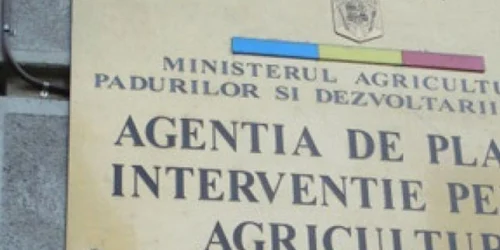 Craiovenii sunt acuzati ca au obitinut ilegal fonduri europene cu acte false 