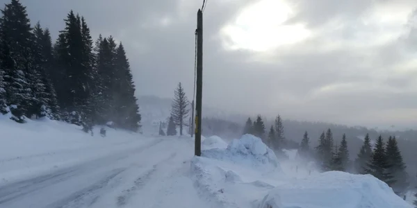 Transalpina