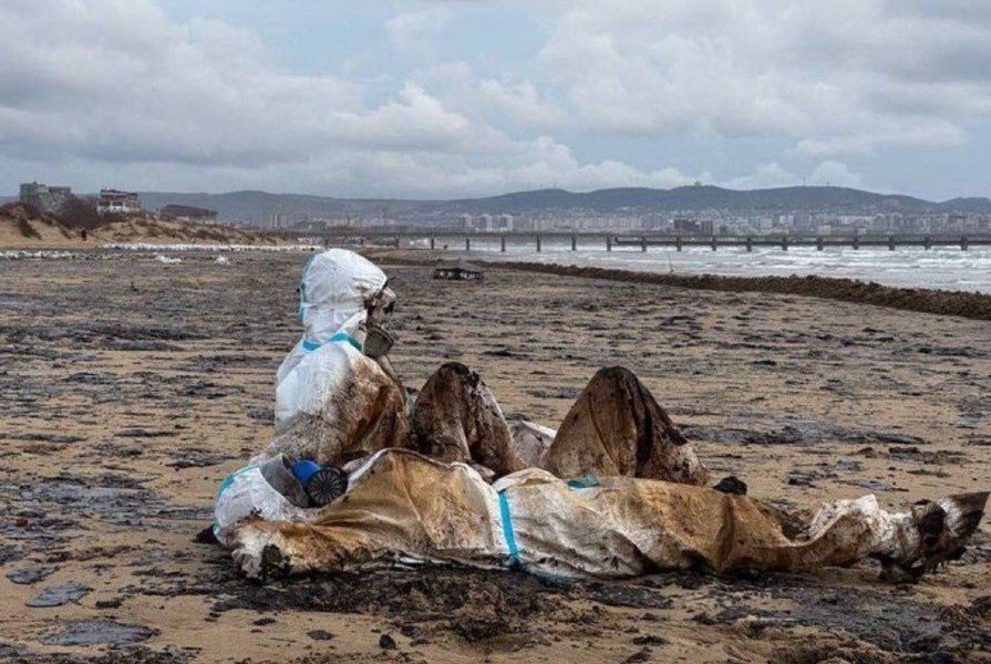 Pericol ecologic în Marea Neagră: Plaje afectate de poluarea severă produsă de petrolierele rusești naufragiate