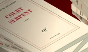 Un secol de Gallimard jpeg