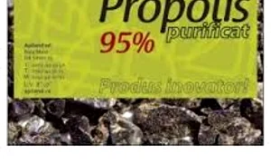 magazinecolife ro jpeg