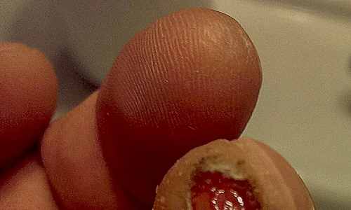 10957869 10203809833980181 7531456455005785521 n jpeg