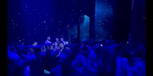 salman si iulia la nunta gif