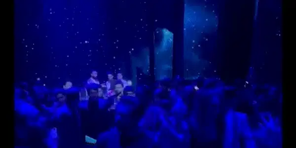 salman si iulia la nunta gif
