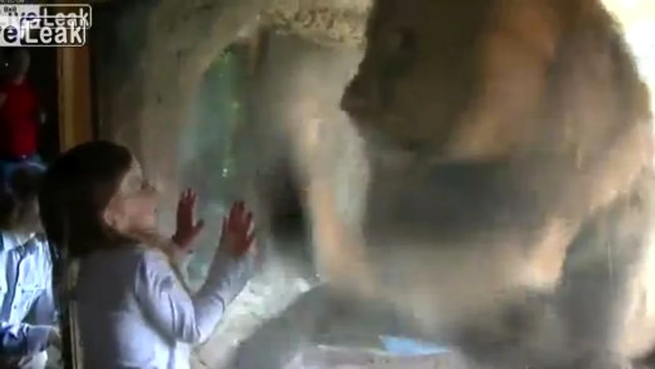 
    Fetiţa zâmbeşte neînfricată spre leu  