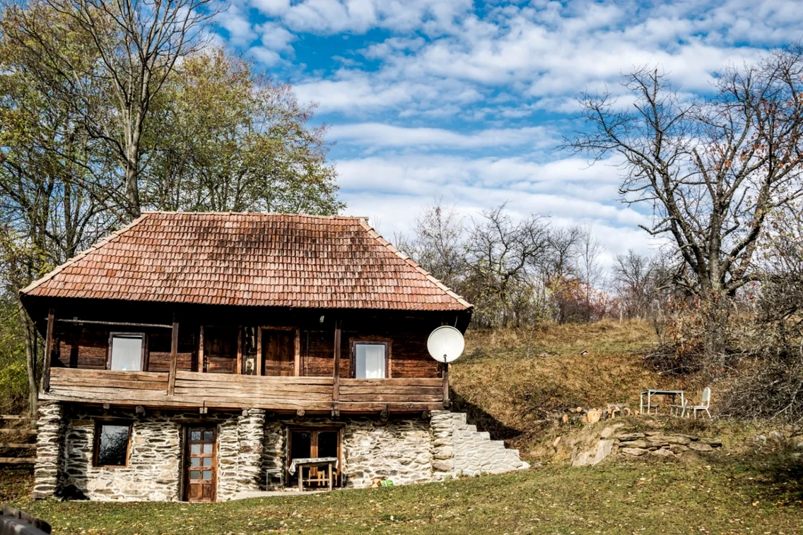 mesteacan satul pustiu foto florin apur