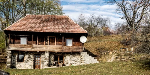 mesteacan satul pustiu foto florin apur