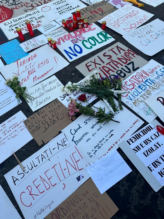 Mesajele protestatarilor împotriva violenței domestice FOTO: Facebook / Nicușor Dan